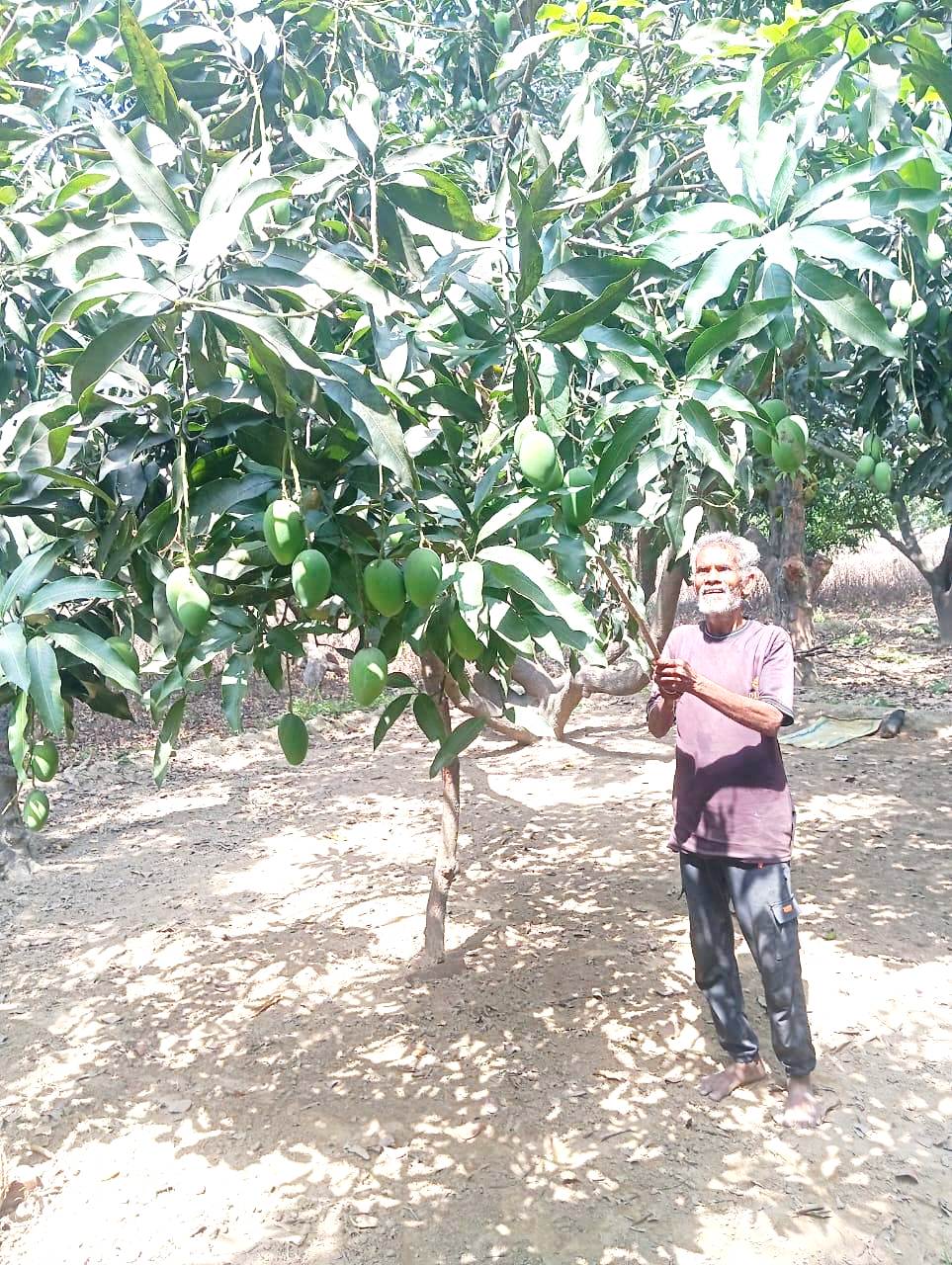 https://lokbharti.co.in/public/uploads/images/newsimages/dainiklokbhartiimage28052026_154409_ph 6.jpeg